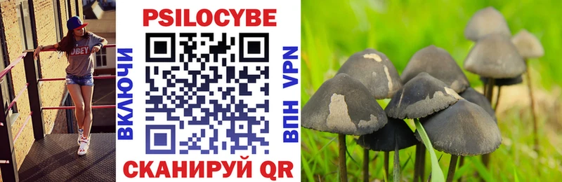 Галлюциногенные грибы Psilocybe  наркотики  Белогорск 